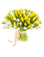 Тюльпаны Микс желтый с белым 