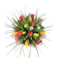 Букет Тюльпанов - Радуга Цветов 