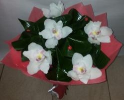 Букет Цветов - Парад Орхидей