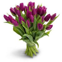 Букет Фиолетовых Тюльпанов