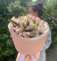 Нежная Альстромерия